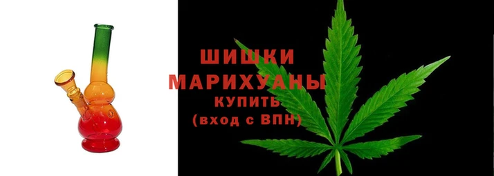 шишки Алексин