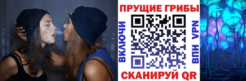 Галлюциногенные грибы Psilocybe  что такое наркотик  Россошь 