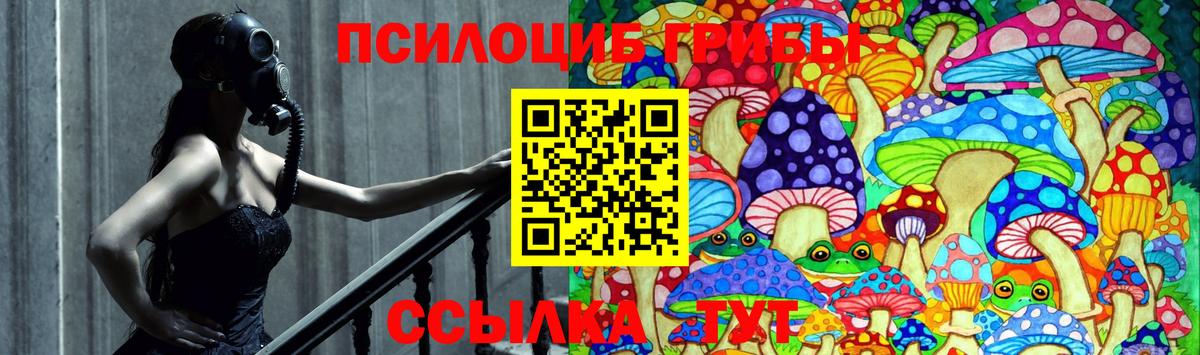 Псилоцибиновые грибы MAGIC MUSHROOMS Россошь